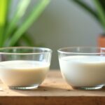 Lait de coco vs crème de coco : quelles différences et utilisations en cuisine ?